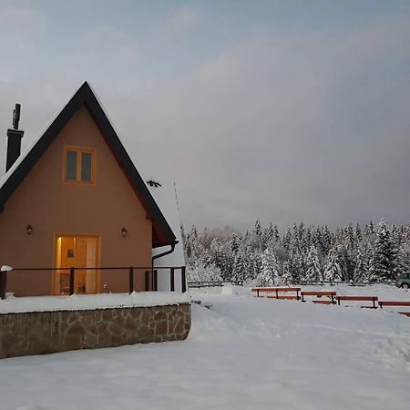 Mountain House Popovic Tara Villa Bajina Basta Buitenkant foto