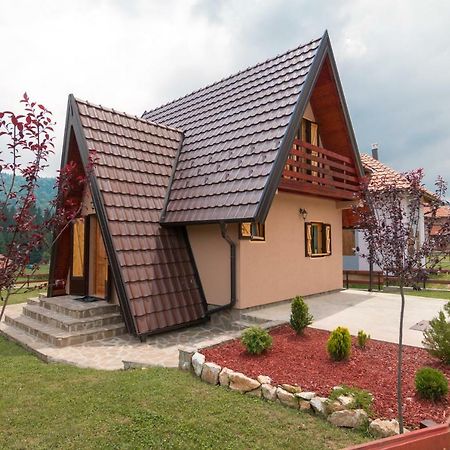 Mountain House Popovic Tara Villa Bajina Basta Buitenkant foto
