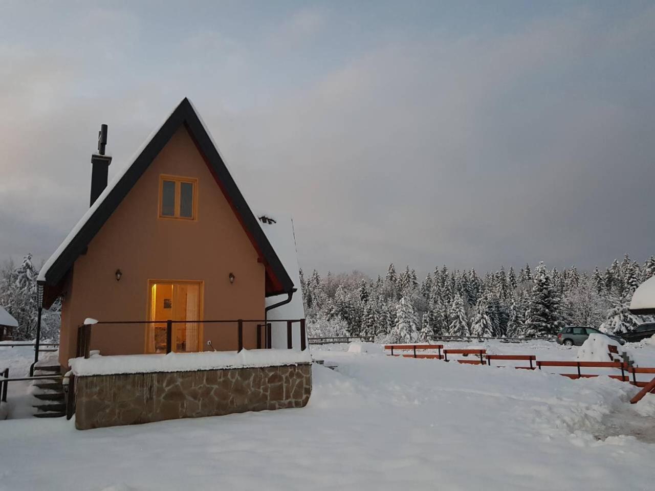Mountain House Popovic Tara Villa Bajina Basta Buitenkant foto