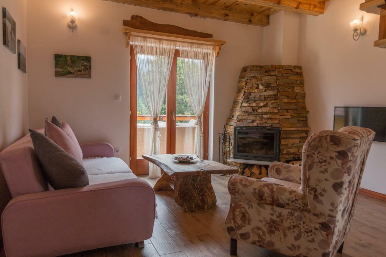 Mountain House Popovic Tara Villa Bajina Basta Buitenkant foto