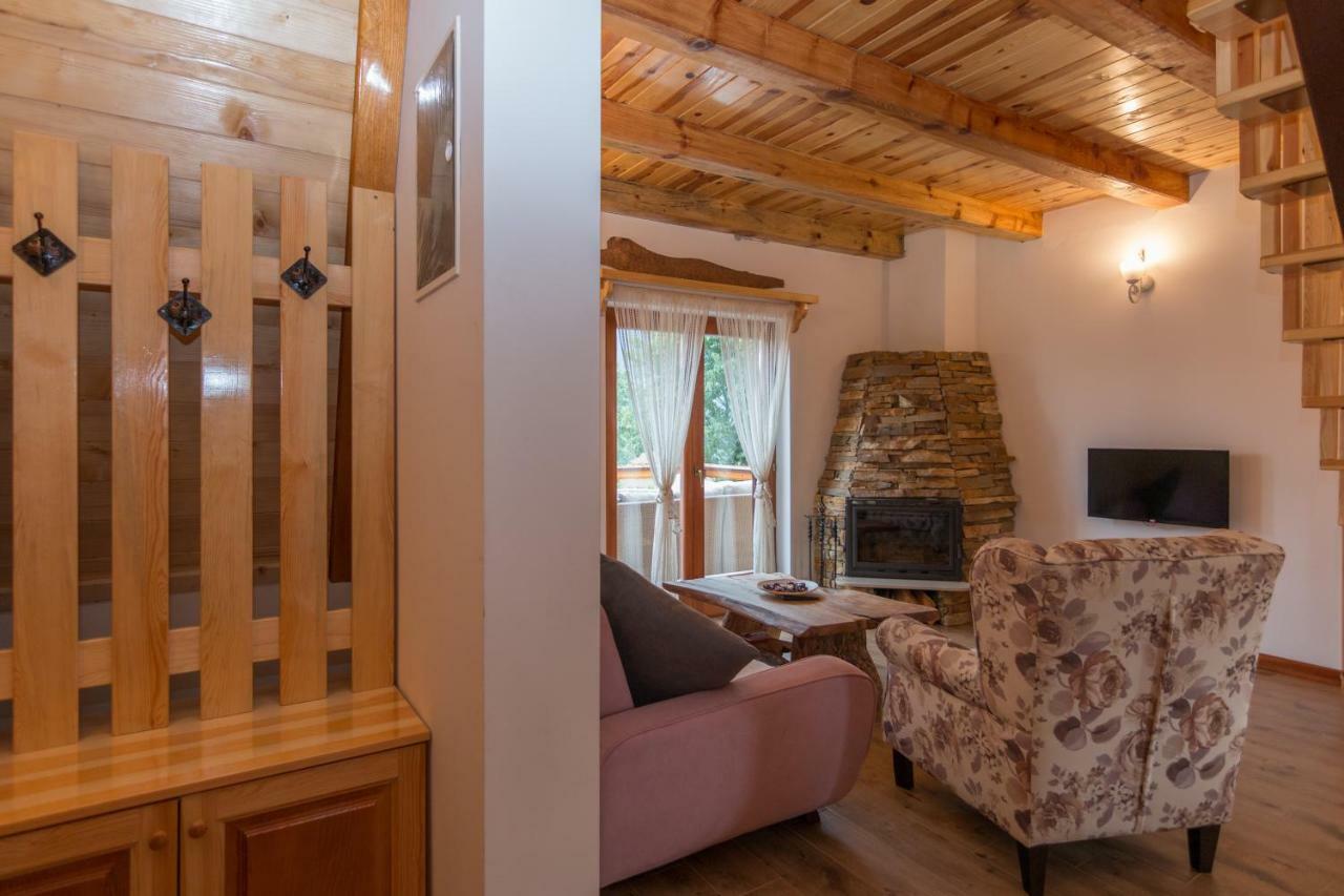 Mountain House Popovic Tara Villa Bajina Basta Buitenkant foto