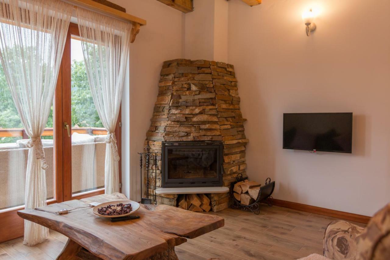 Mountain House Popovic Tara Villa Bajina Basta Buitenkant foto