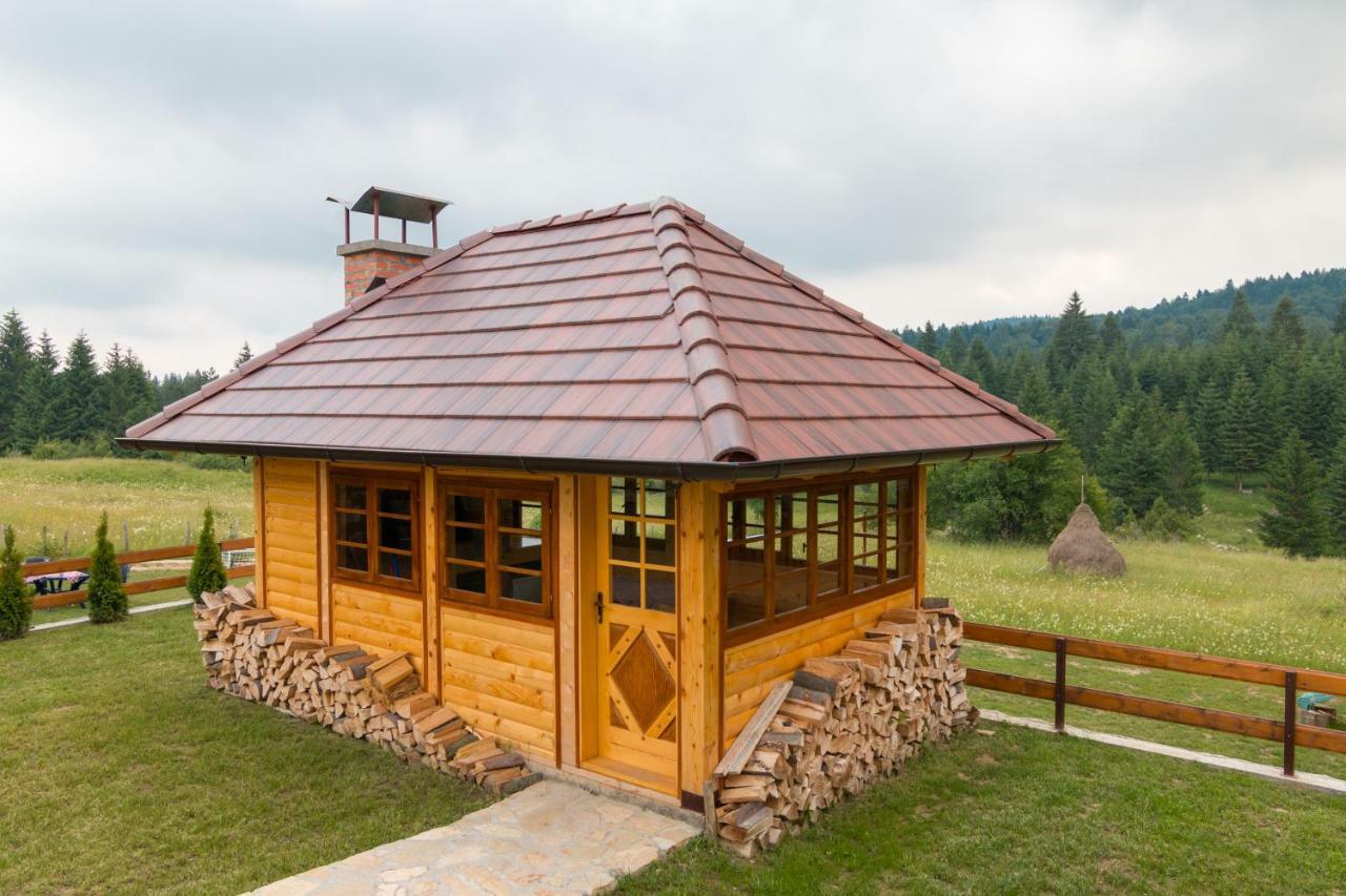 Mountain House Popovic Tara Villa Bajina Basta Buitenkant foto