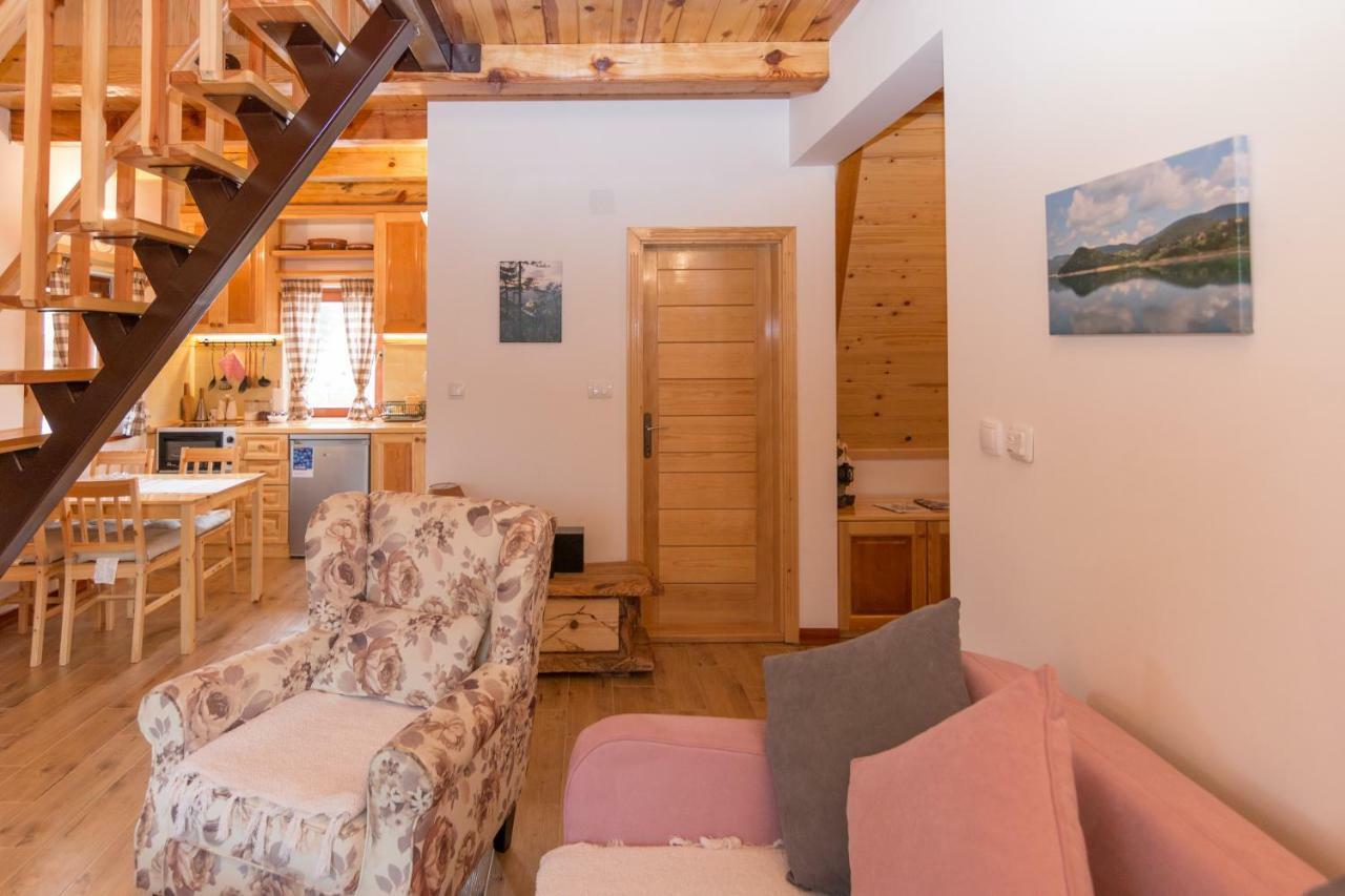 Mountain House Popovic Tara Villa Bajina Basta Buitenkant foto