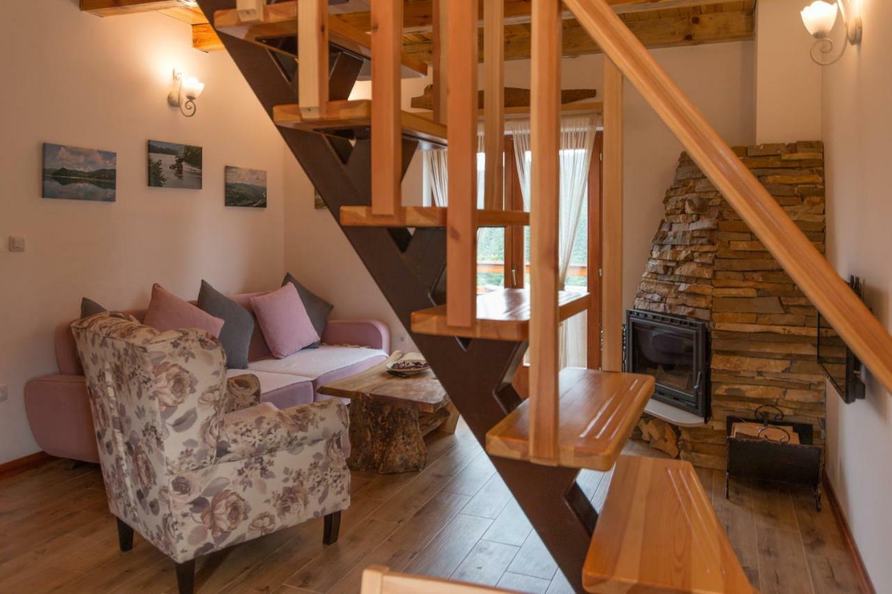 Mountain House Popovic Tara Villa Bajina Basta Buitenkant foto