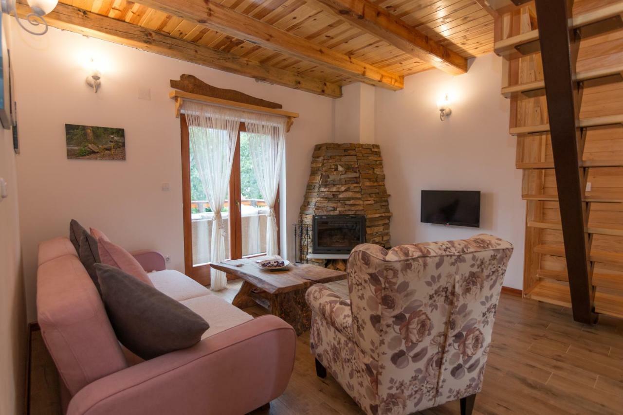 Mountain House Popovic Tara Villa Bajina Basta Buitenkant foto
