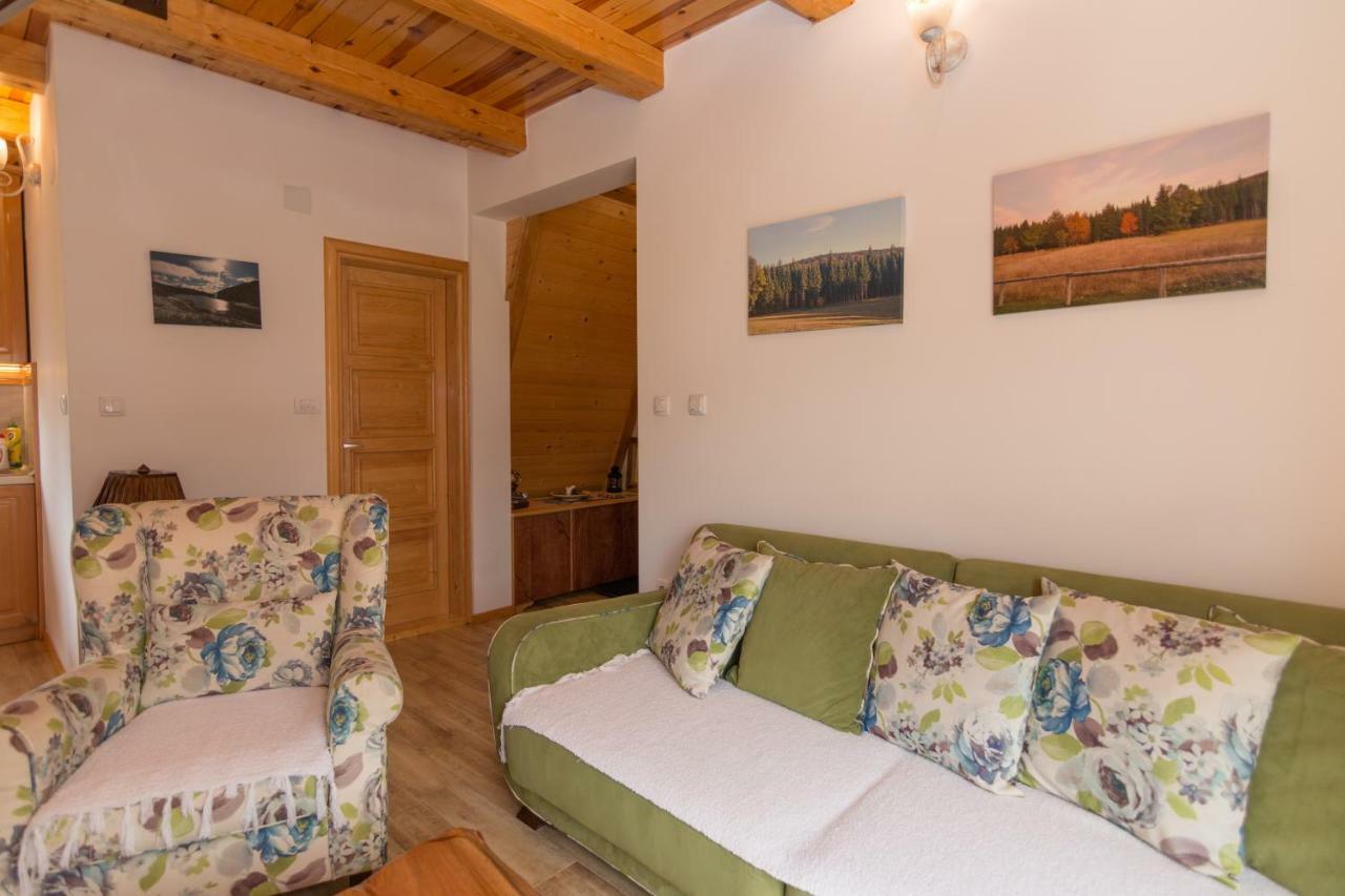 Mountain House Popovic Tara Villa Bajina Basta Buitenkant foto