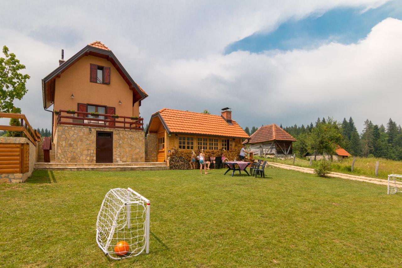 Mountain House Popovic Tara Villa Bajina Basta Buitenkant foto