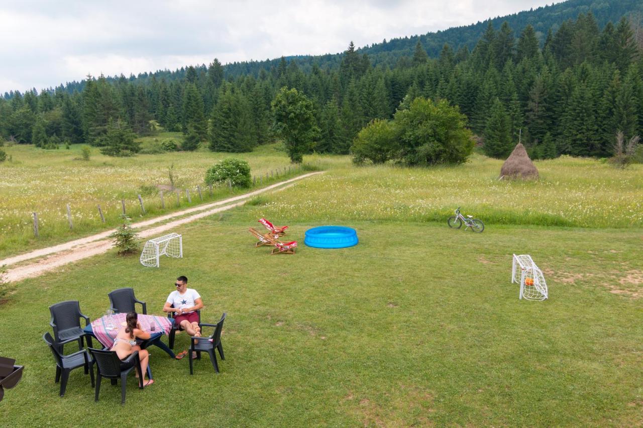 Mountain House Popovic Tara Villa Bajina Basta Buitenkant foto